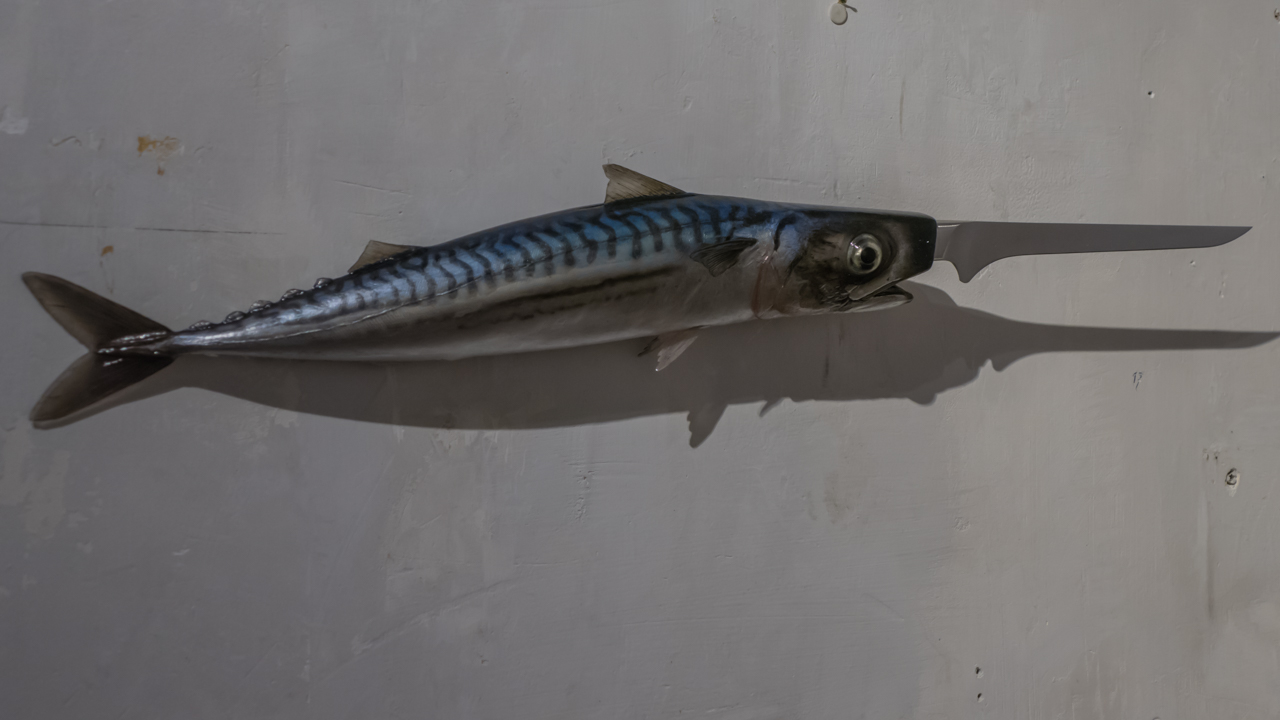 Swordfish at Kazerne